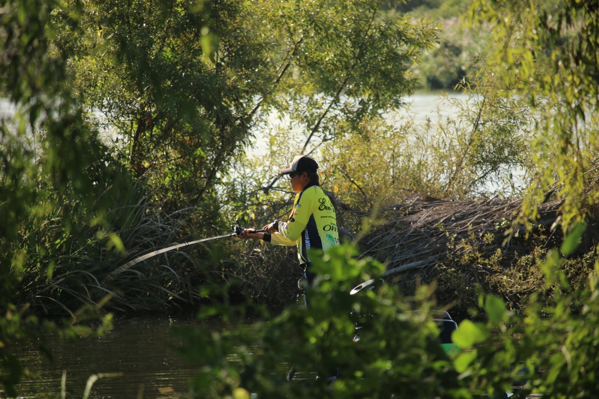 流木　8点 ストーンディーラーシンセー アク抜き 根っこの流木ミニパック